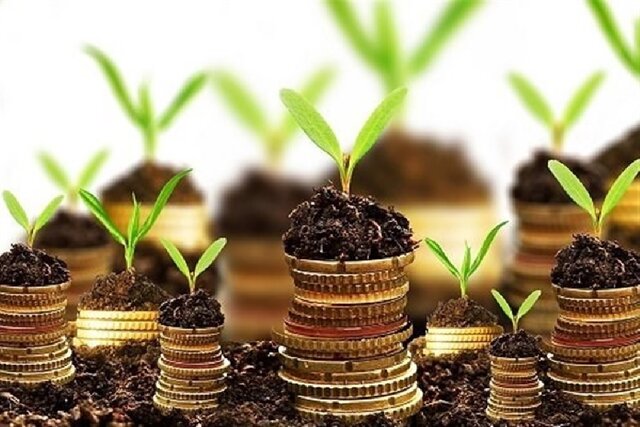 جزئیات تسهیلات اعطایی شتابدهنده‌های دانش‌بنیان به نوپاها