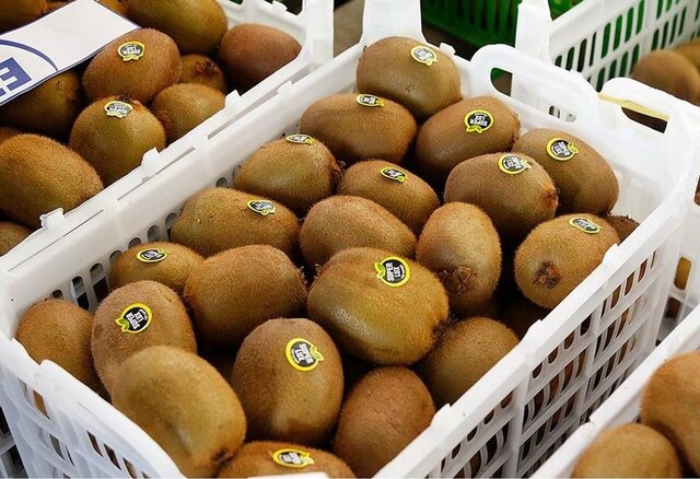 مازندران از رتبه بالای صادرات در کشور برخوردار است