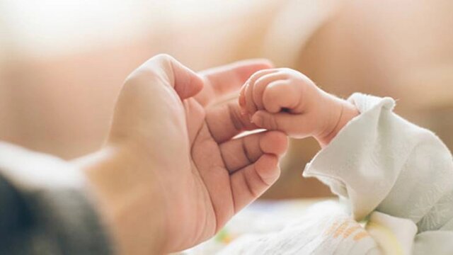 برای مقابله با بحران جمعیت نمی‌توان صبر کرد