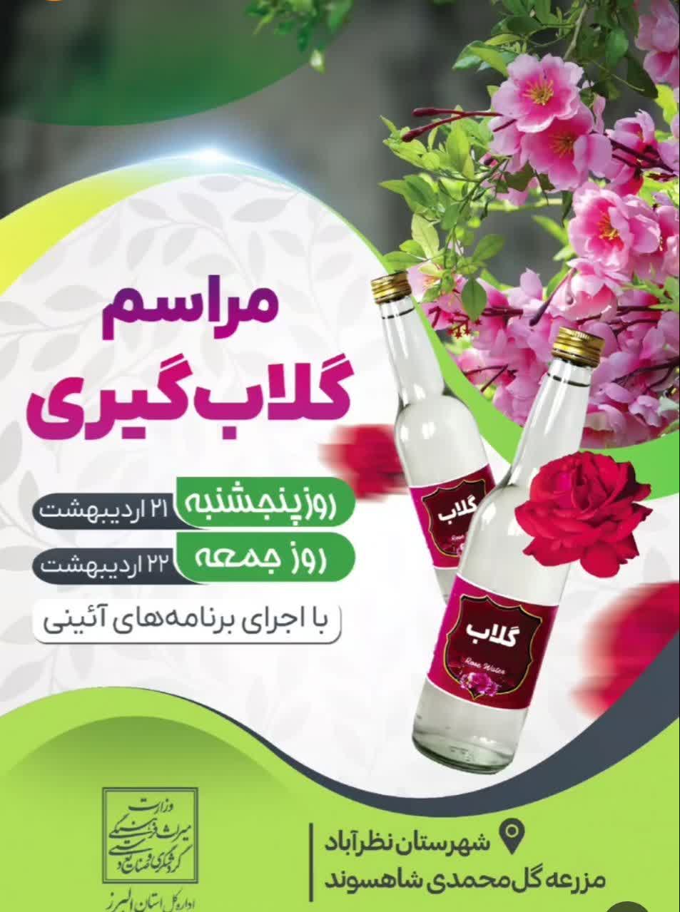 جشنواره گلاب گیری در نظرآباد برگزار می‌شود