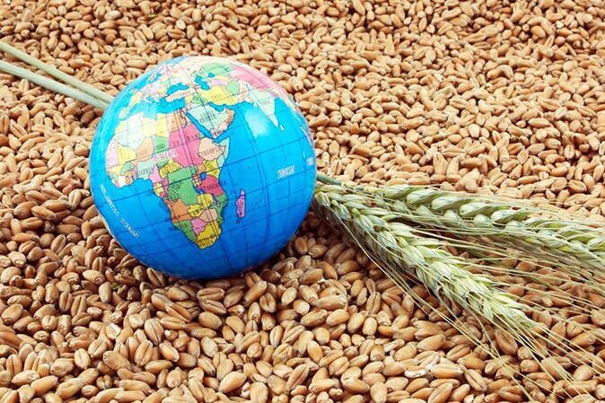مرگ سالانه بیش از ۶۰۰ میلیون نفر بر اثر مصرف غذای آلوده