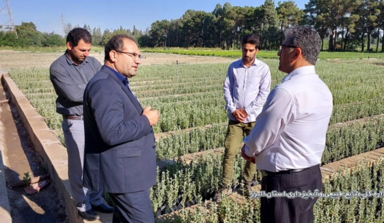 مدیر کل منابع طبیعی و آبخیزداری البرز: یکی از مهمترین اهداف اجرای طرح مردمی کاشت یک میلیارد درخت کاهش ریزگرد ها است