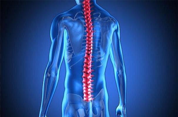 ژن درمانی جدید به معلولان قدرت راه رفتن می دهد