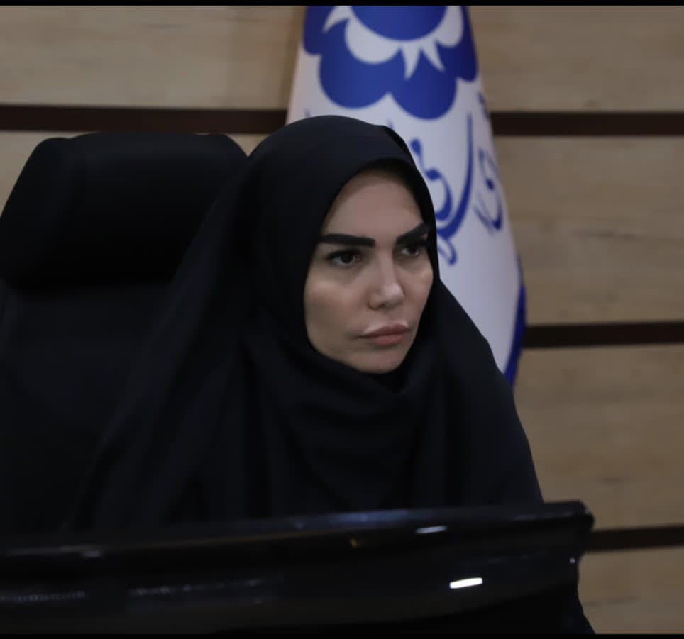 مریم قهرمانی صارم؛نهادینه کردن فرهنگ ایمنی دغدغه اصلی شورای شهر است