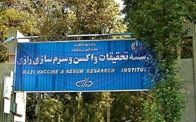 پادزهر خطرناک‌ترین مار کبری عراق توسط موسسه رازی ساخته می‌شود