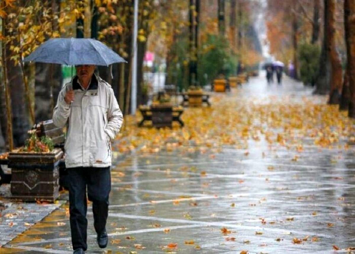 ادغام رشته‌های «تجربی»، «ریاضی» و «انسانی»