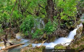 مدیرکل میراث‌فرهنگی لرستان مطرح کرد؛شناسایی ۹۷ منطقه گردشگری در لرستان