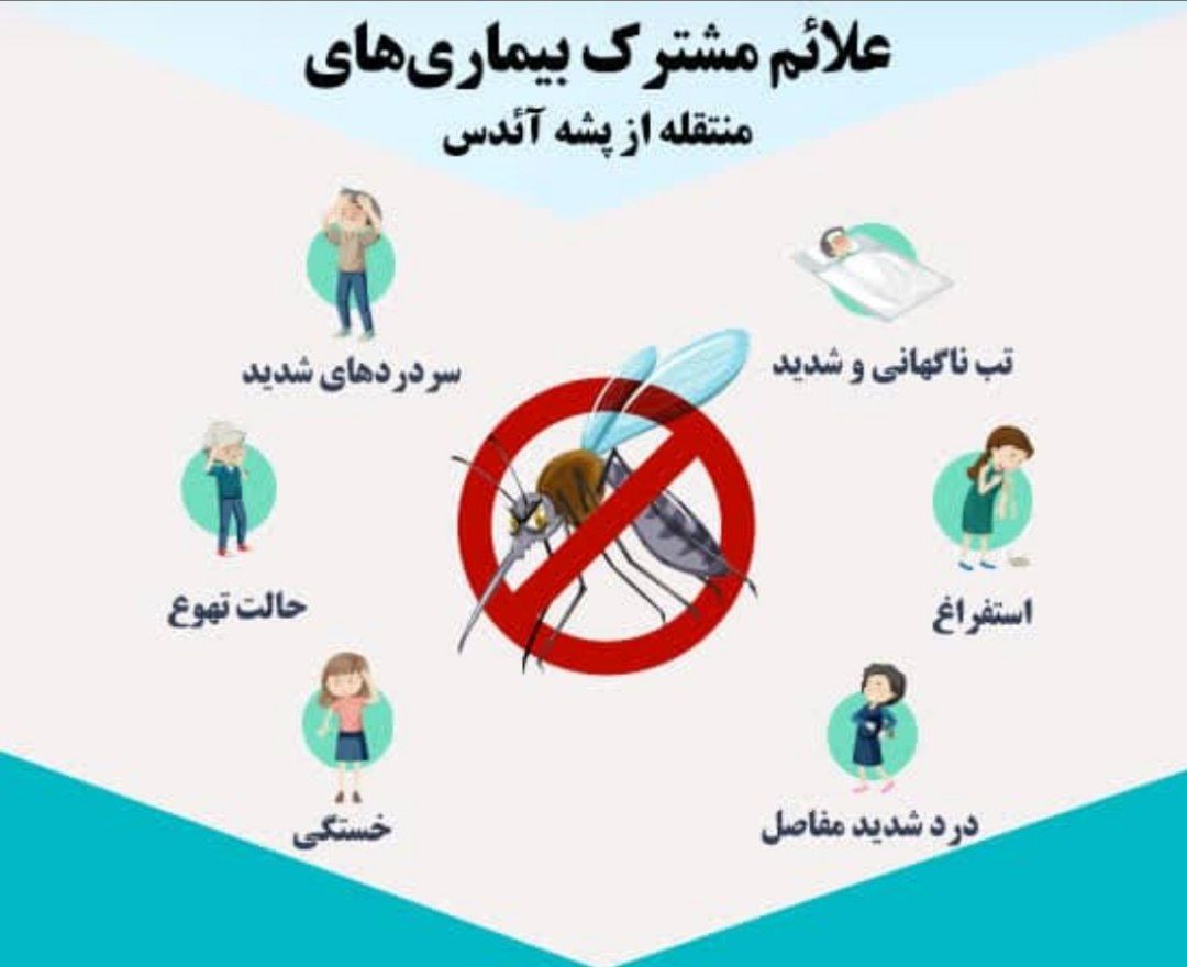 رئیس دانشگاه علوم پزشکی البرز هشدار داد:البرزنشینان مراقب بیماری تب دانگ باشند