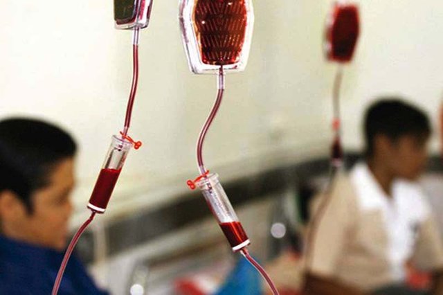 مدیرکل بهداشت کمیته امداد : ابتلای ۸۶ هزار مددجوی کمیته امداد به بیماری‌های خاص