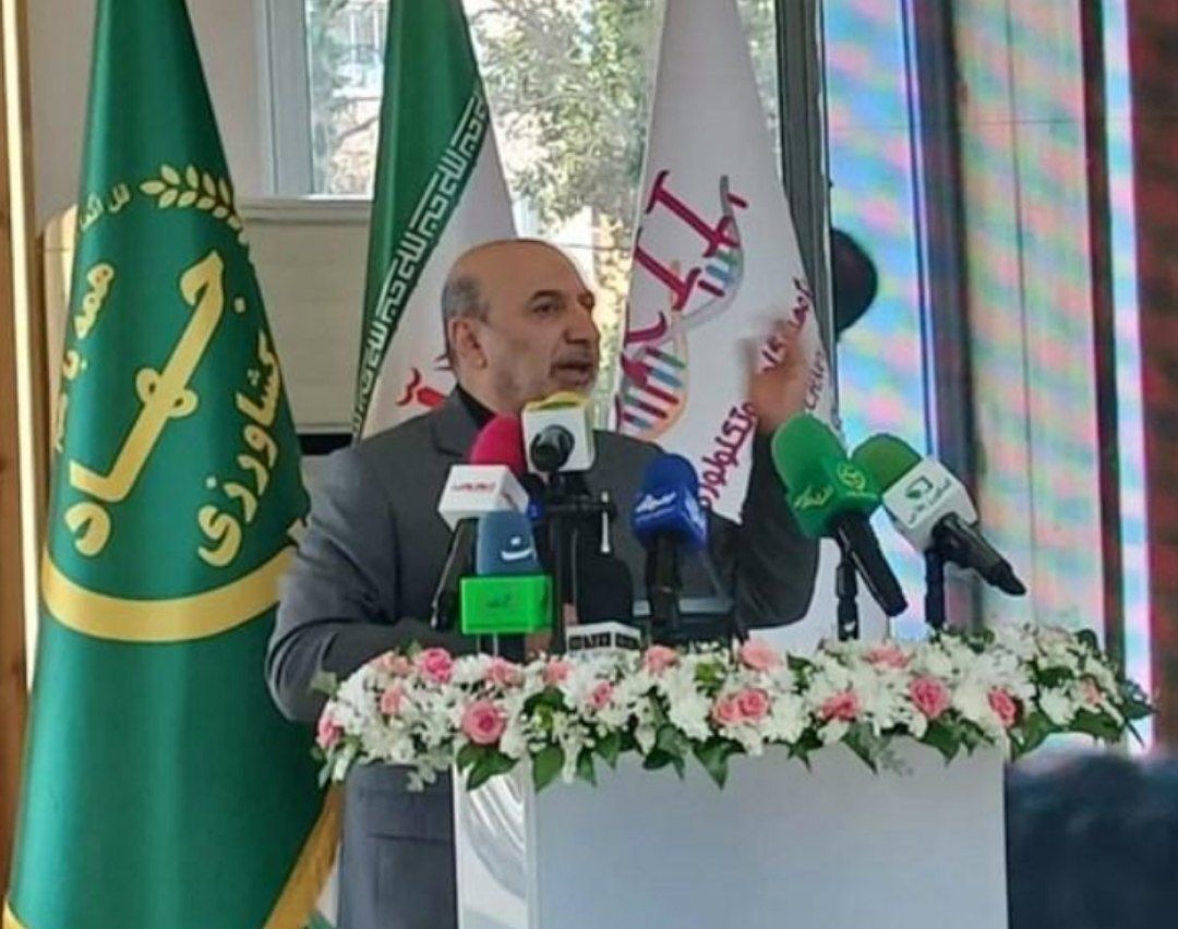 معاون وزیر و رئیس سازمان تات:ایجاد مراكز نوآوری در سازمان تات، در راستای همكاری با بخش خصوصی