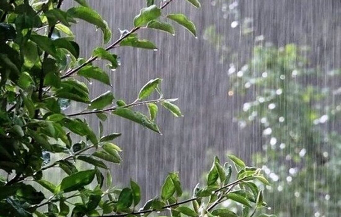 بارش باران در ۱۲ استان کشور