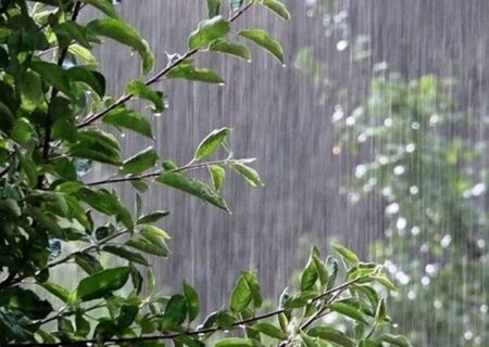 بارش باران در ۱۲ استان کشور