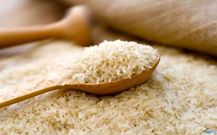 برنجهای وارداتی در حال ترخیص است