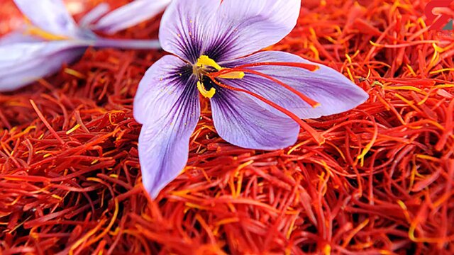 کشف ۵۷ کیلو زعفران تقلبی در طرقبه و شاندیز