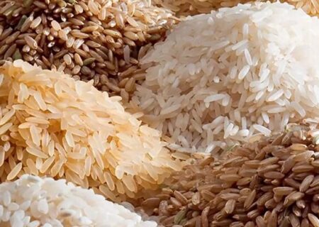 بی‌اعتنایی بانک مرکزی به تصمیمات ارزی دولت در حوزه واردات برنج