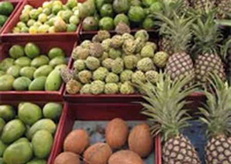 چه محصولات گرمسیری به ایران وارد می‌شود؟ 
