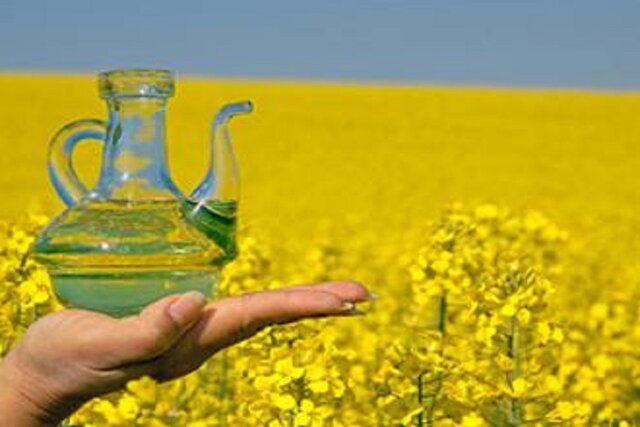 هزینه ۲ میلیارد دلاری برای واردات دانههای روغنی