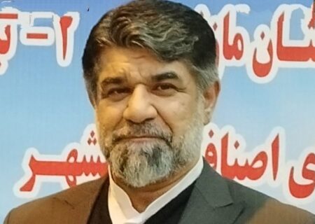 دکتر هاشمی: بزودی قهرمانان mma و کیک بوکسینگ تجلیل می‌شوند