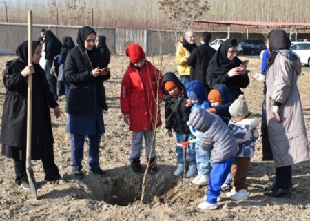پویش نهالکاری به نام پدردر کرج؛ گامی برای کاهش آلودگی و تقویت ارتباط انسان با طبیعت