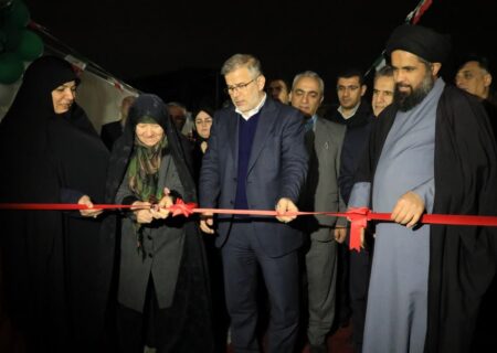 همکاری‌های بین‌دستگاهی، کلید موفقیت برنامه‌های حمایتی