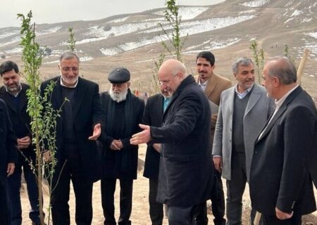 بهره‌برداری از کمربند سبز پس از ۳۸ سال