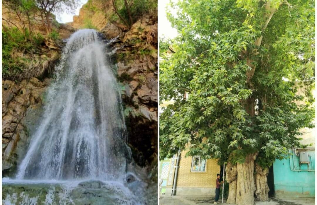 دو اثر طبیعی ساوجبلاغ ثبت ملی شد