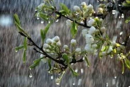 رگبار باران و وزش باد شدید در برخی نقاط کشور