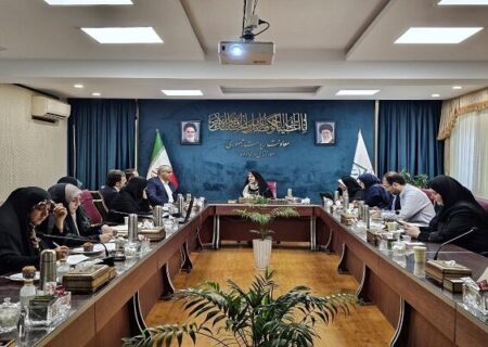 تدوین برنامه اقدام ملی برای کسب و کار خانگی زنان