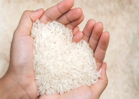 رد ادعای عرضه قطره‌چکانی برنج وارداتی