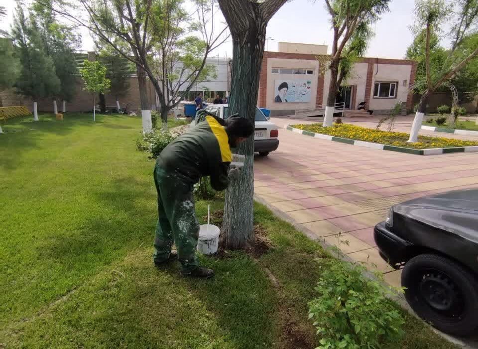 بزرگترین نمایشگاه گل و گیاه و صنایع دستی و سوغات محلی در غرب البرز به زودی برگزار می گردد