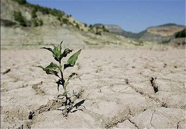 بحران کمآبی در بانه/ کاهش ۵۷ درصدی بارندگی در این شهرستان