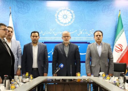 استان البرز پیشتاز در تکمیل زنجیره ارزش تولید صنعتی است