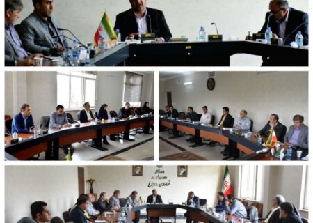 اقدامات عملیاتی ساوجبلاغ در مسیر ساماندهی پسماند و مقابله با معضل سگ‌های بلاصاحب