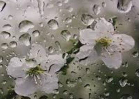 تداوم رگبار و رعد و برق در برخی مناطق کشور تا فردا