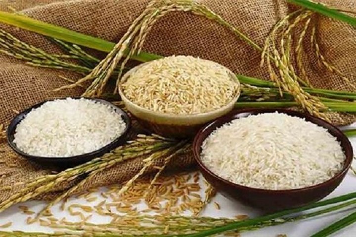 حذف واردات برنجهای با کیفیت برای صرفهجویی ارزی