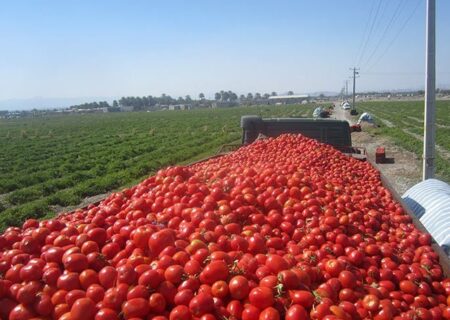 ضرورت سرمایه‌گذاری در بخش کشاورزی