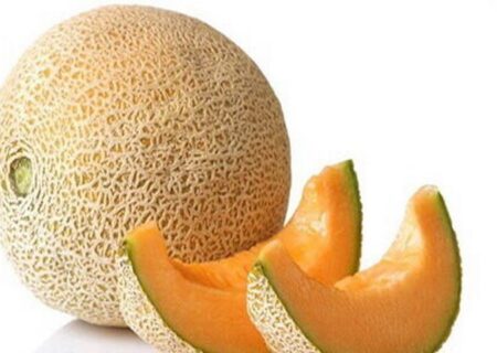 آیا «ملون» تراریخته و مضر برای سلامتی است؟
