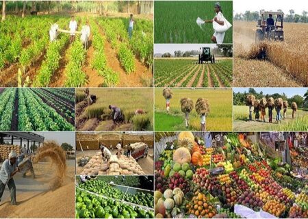 ارتقای کیفیت صادراتی محصولات کشاورزی با ساشه‌های نانویی ایرانی