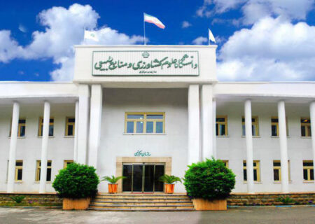 وظیفه نخبگان در بحران‌ها، امیدبخشی و جلوگیری از فرسایش روانی جامعه است