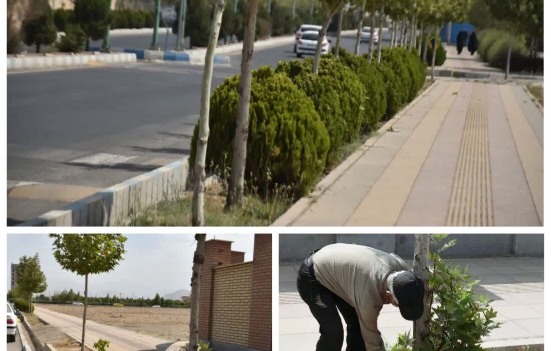 گام بلند مدیریت شهری در حفظ ، نگهداشت و توسعه ی فضای سبز