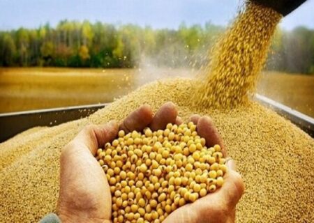 مسئله استفاده از فناوری در قطع وابستگی است؛ برای ما شرکت وفرد مهم نیست