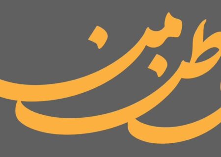اعلام موجودیت جبهه «وطن من»