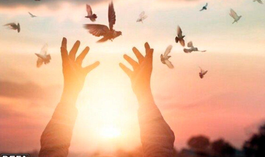 آزادی 206 زندانی محکوم مالی البرز در البرز