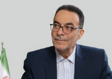 ابراهیمی: باید از سقوط بیش از حد پول ملی جلوگیری شود