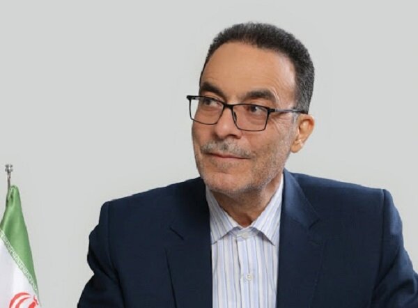 ابراهیمی: باید از سقوط بیش از حد پول ملی جلوگیری شود