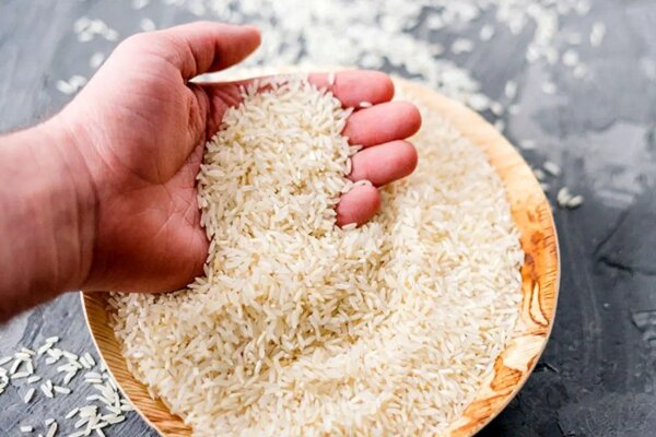 بازگشت ۴۰۰ تن برنج آلوده به پاکستان