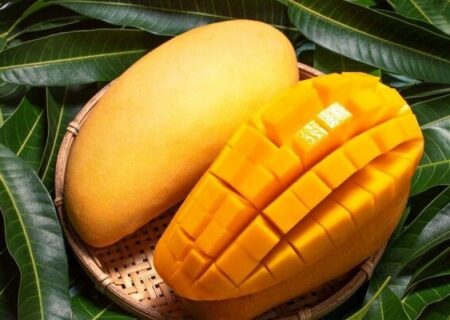 سلطان میوه‌های استوایی با خواص بی‌نظیر برای بدن