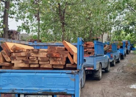 ‌کشف ۳ تن چوب قاچاق از متخلف سابقه‌دار در سقز