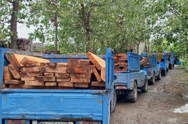 کشف ۳ تن چوب قاچاق از متخلف سابقهدار در سقز