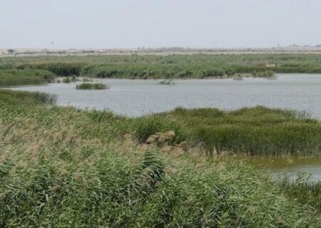 خشکسالی تالاب‌های گلستان؛ محیط زیست و معیشت مردم تهدید می شود